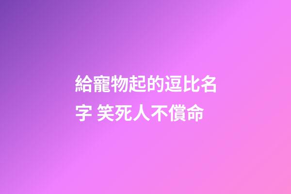 給寵物起的逗比名字 笑死人不償命